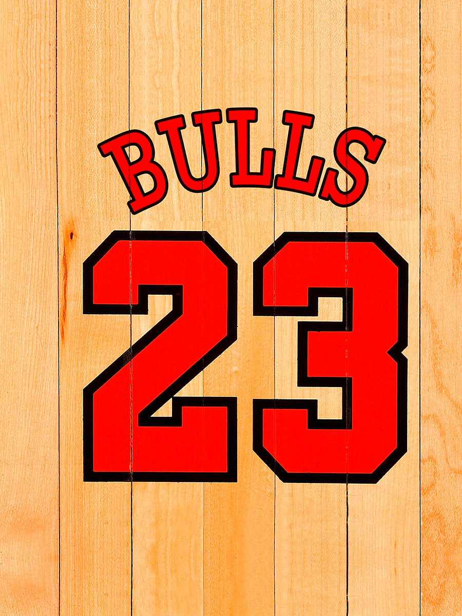 

Постер DRABS А3 BULLS 23