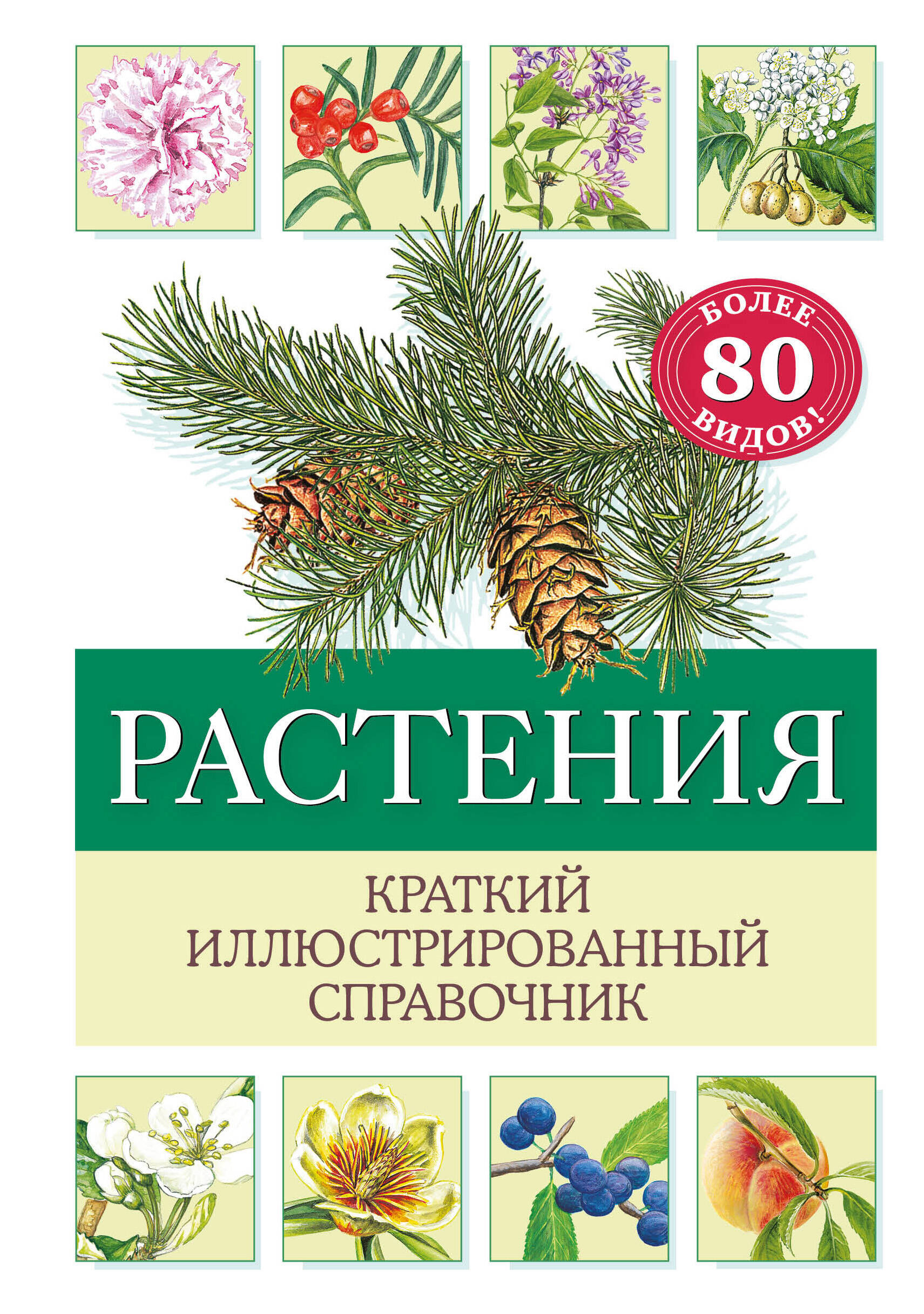 

Растения Краткий иллюстрированный справочник