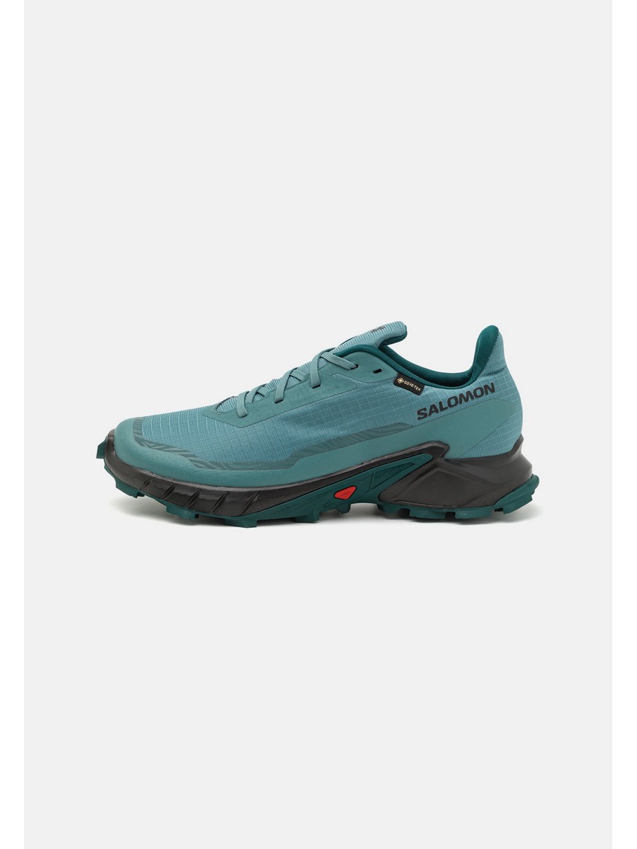 

Кроссовки мужские Salomon SA542A0IX зеленые 41 1/3 EU, Зеленый, SA542A0IX