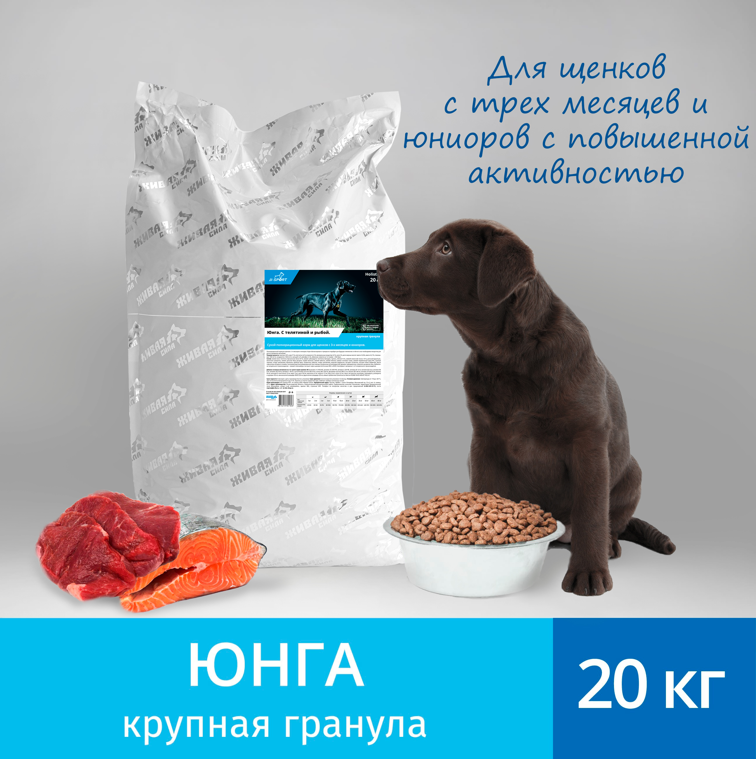 Сухой корм для собак JJ-SPORT Юнга, с телятиной, крупная гранула, 10 кг