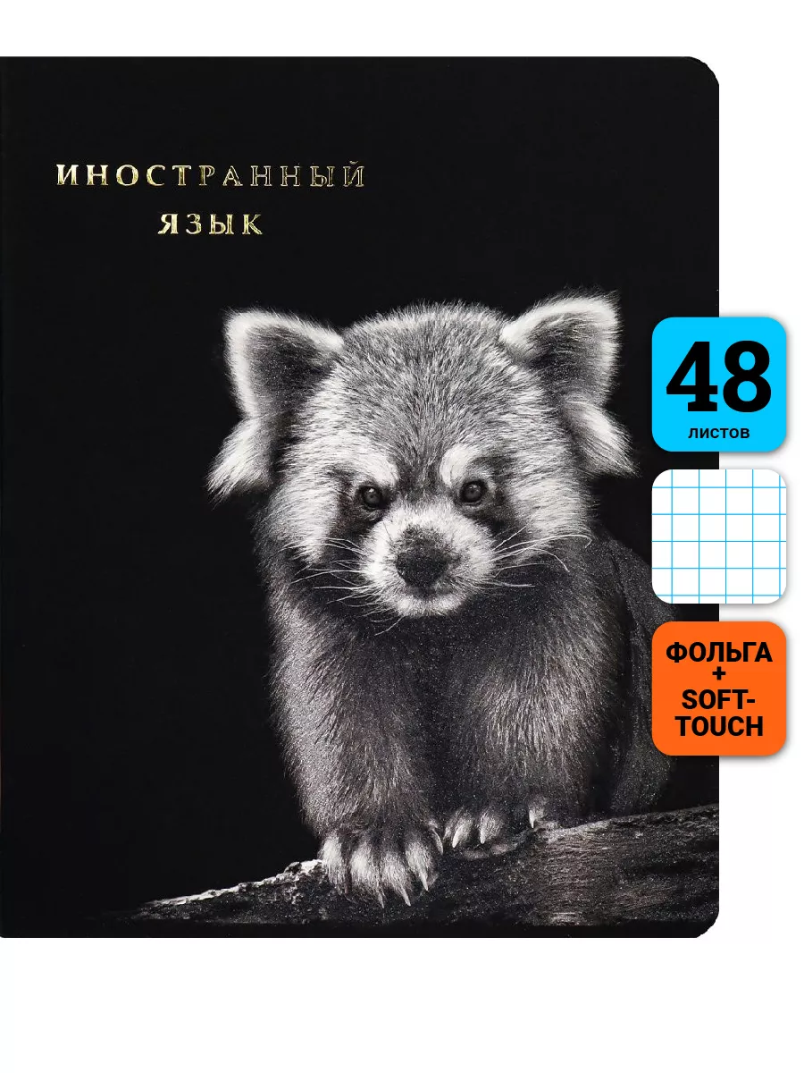 

Тетрадь предметная Иностранный Язык, школьная, 48 листов, Тетрадь в клетку