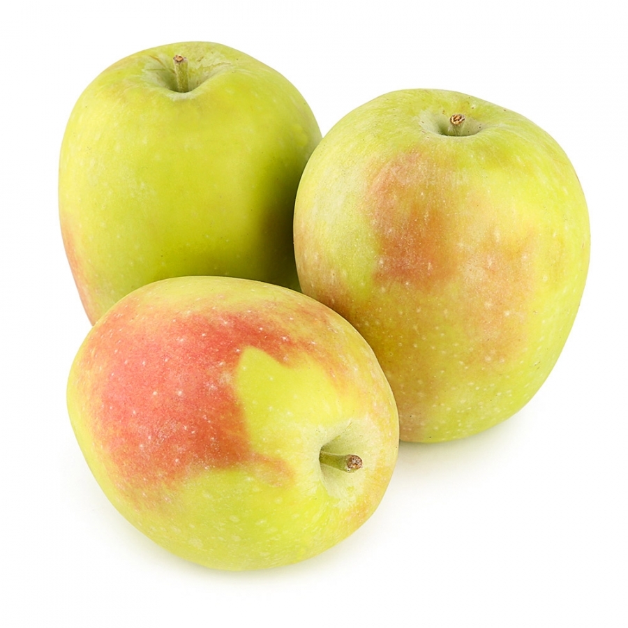 Синап орловский. Яблоня кандиль синап. Сорт яблок кандиль-синап. Яблоки синап. Яблоки синап 1кг.