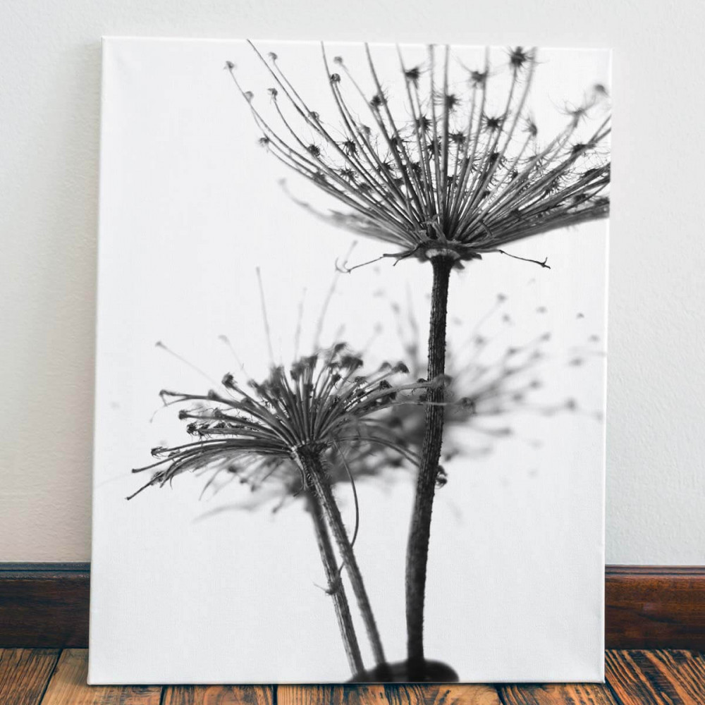 

Картина Red Panda Черно-белые одуванчики40x60