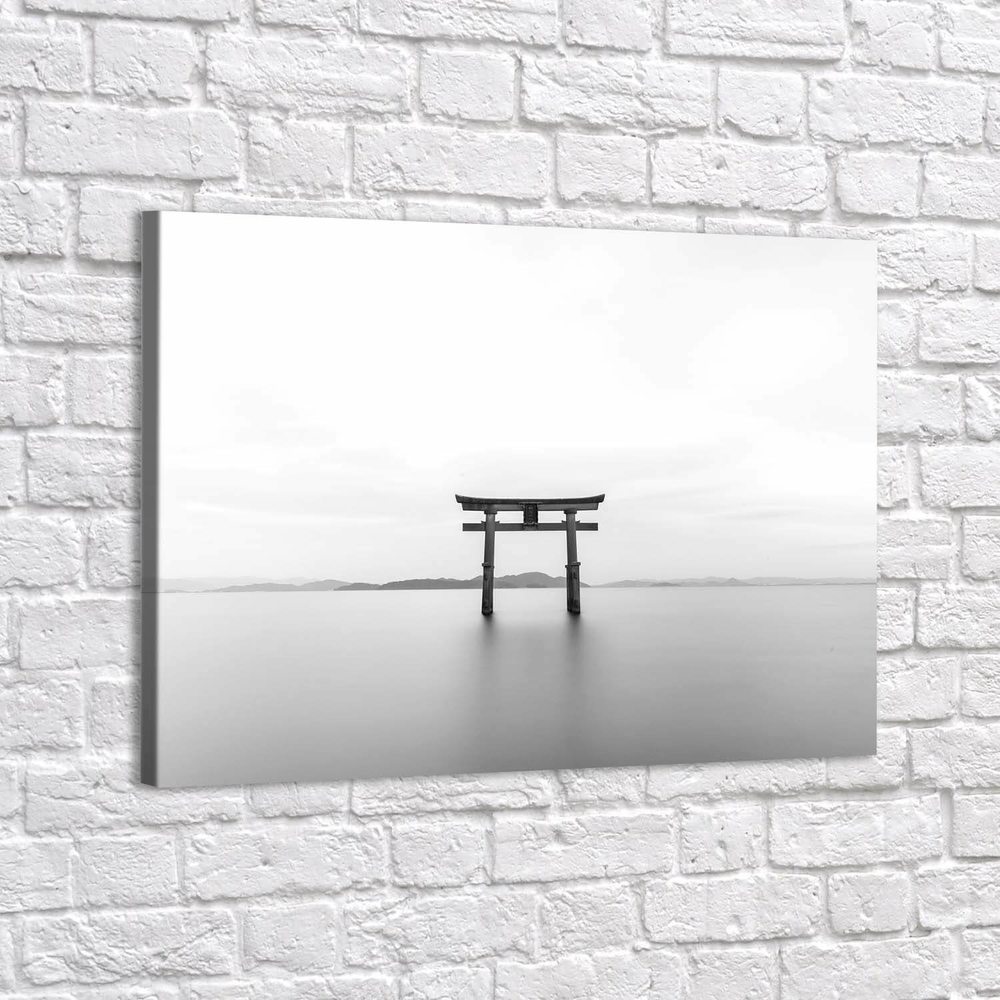 

Картина Red Panda Shirahige Shrine Чб - p5350640х60
