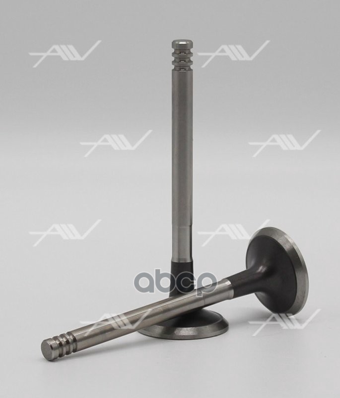 

Ve-51021 Клапан Вып Vag 1Y/Aaz/Abl 31X7X95.6 Autowelt Ve-51021