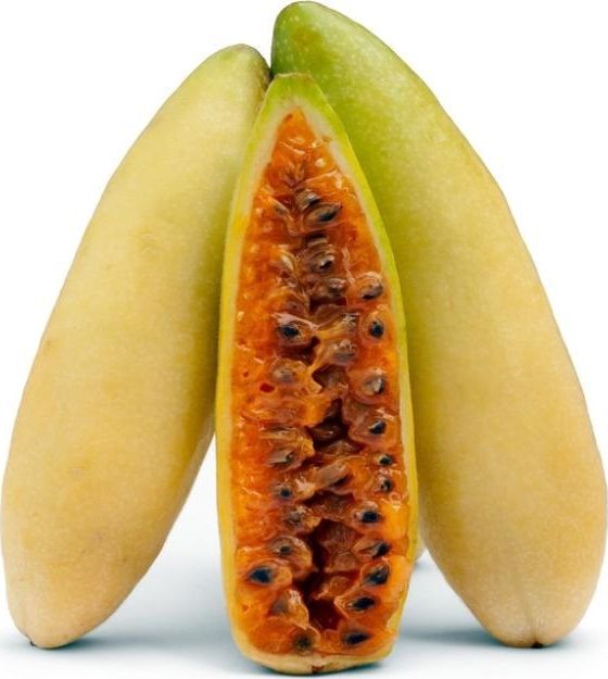 

Куруба , Колумбия, 0.24кг