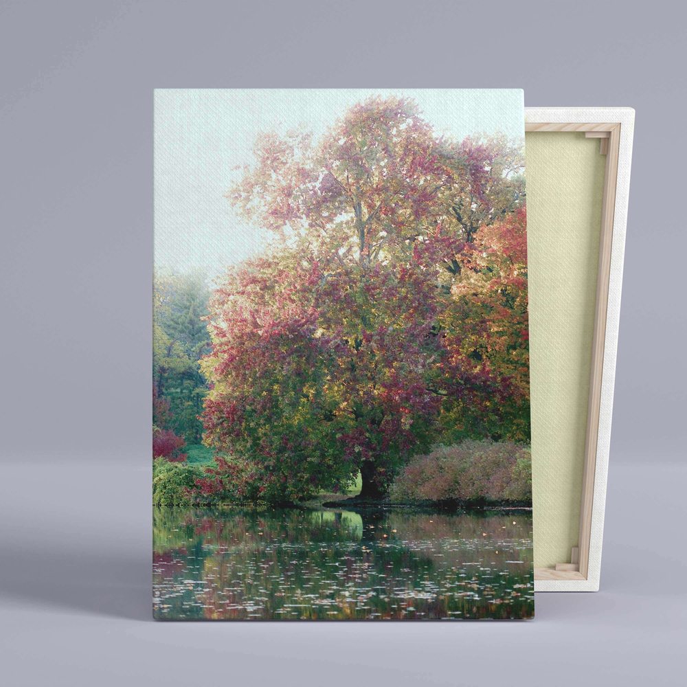 

Картина Red Panda Утро Сентября - p5367940х60