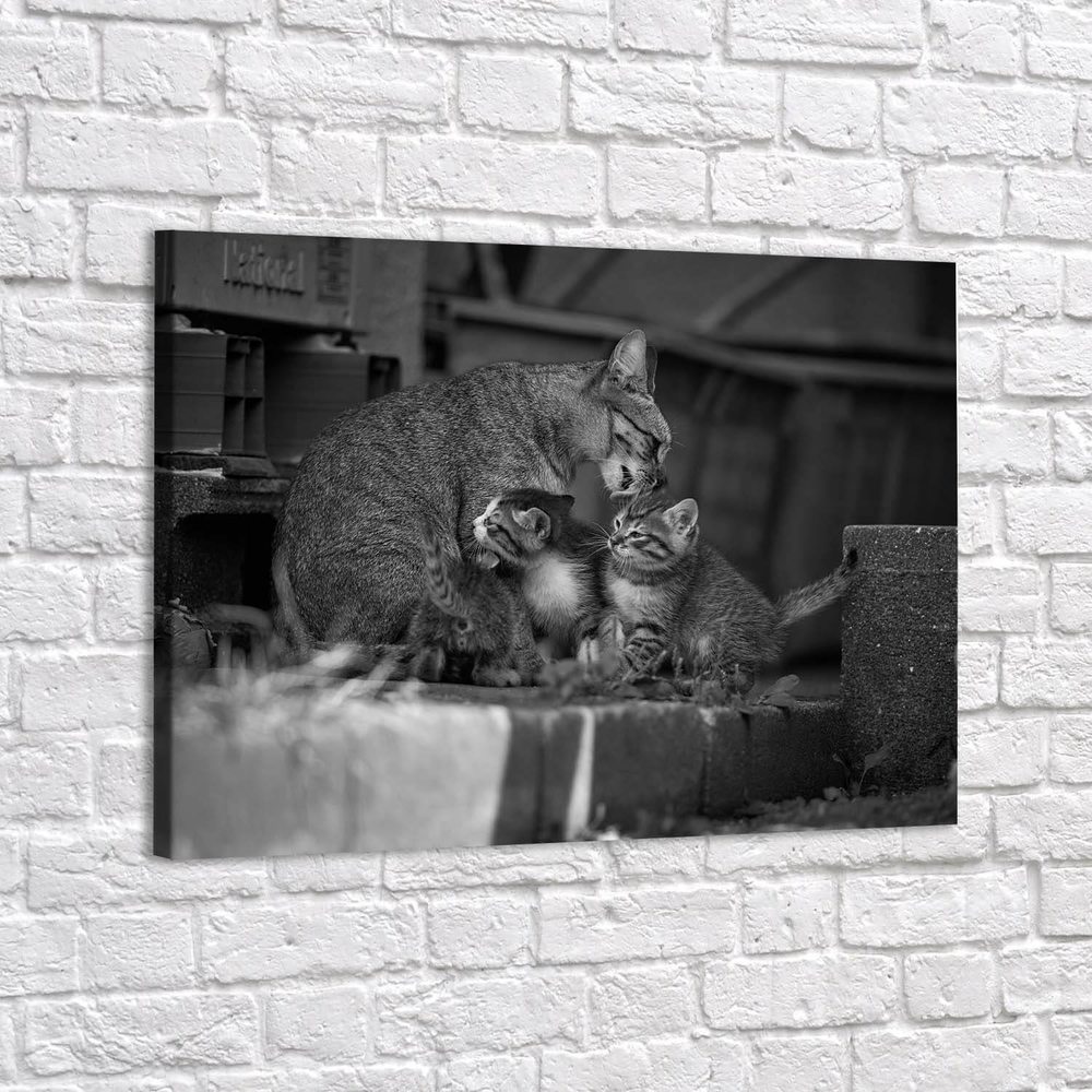 

Картина Red Panda Котосемья - p5379040х60