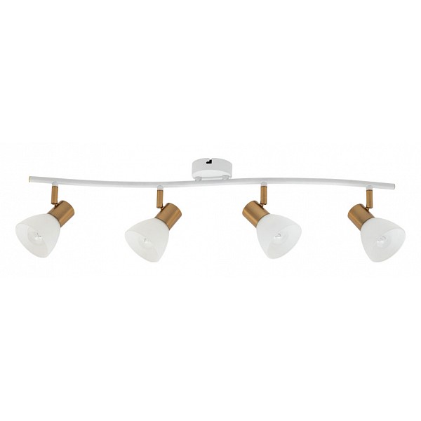 фото Спот falena a3117pl-4wh arte lamp