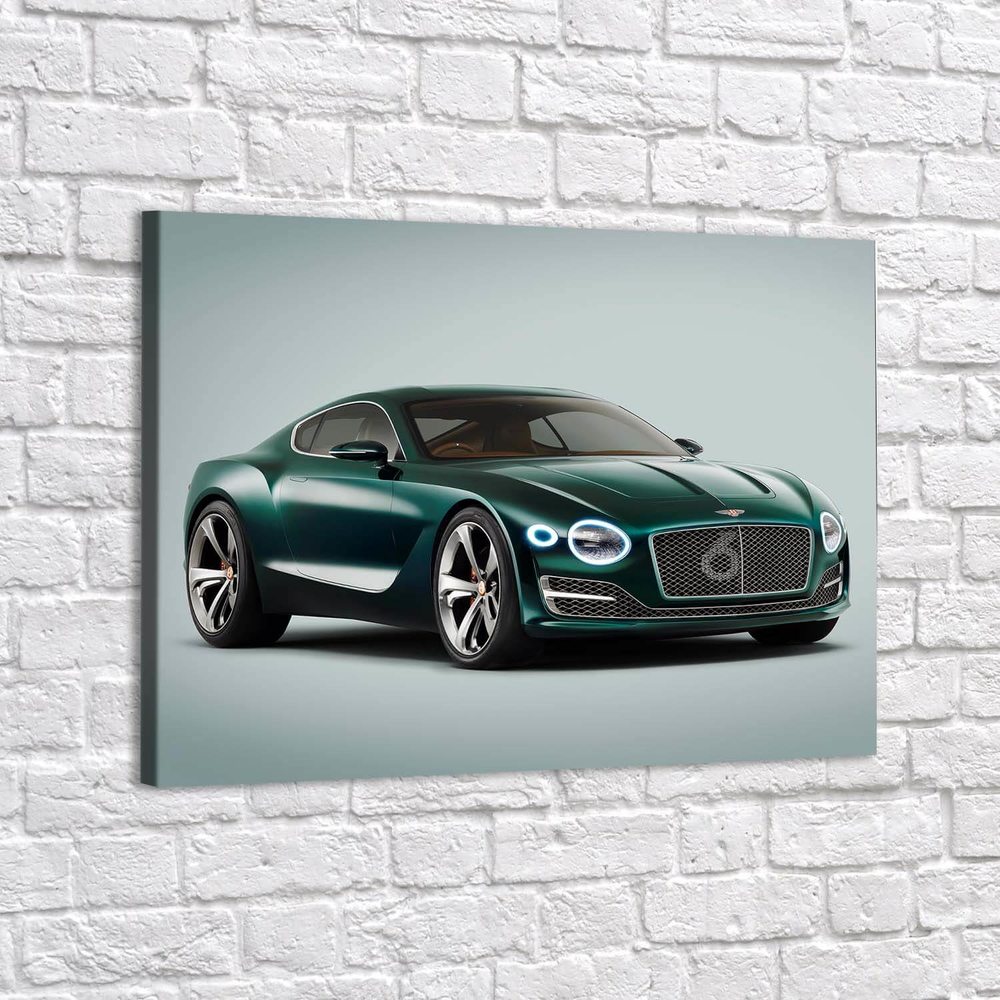 

Картина Red Panda Bentley - p5381840х60