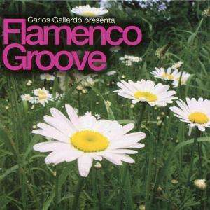 Flamenco Groove By Carlos Gallardo