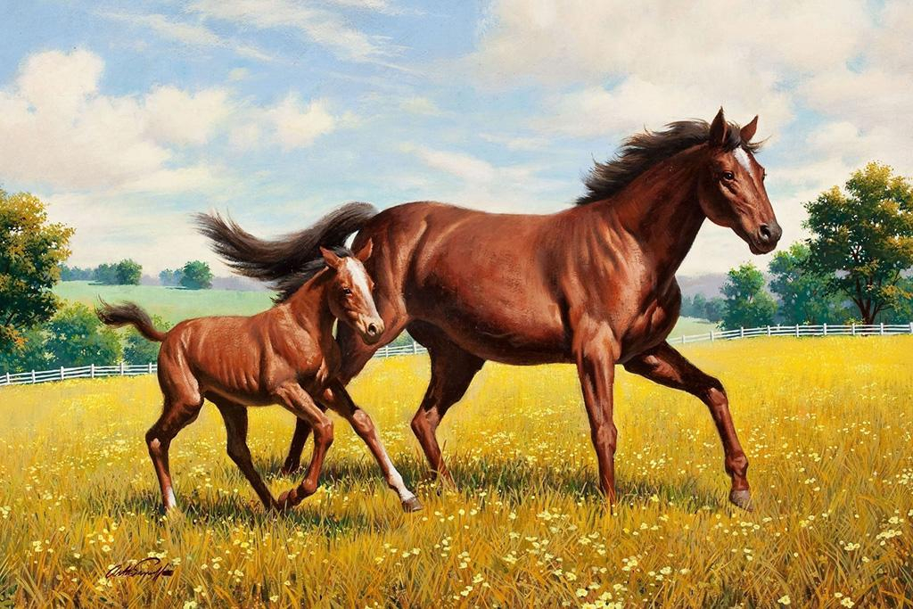 Старшие лошадки. Бонни Маррис лошади. «Лошадь с жеребенком» а. Горбатова.. Бонни Маррис лошади картины.