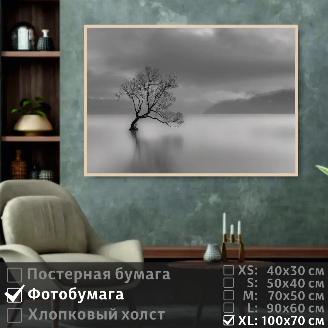 

Постер на фотобумаге ПолиЦентр Одинокое дерево 100х70 см, ОдинокоеДерево1