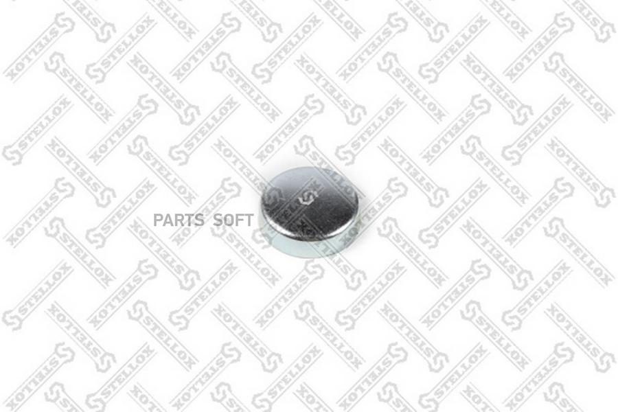 

Заглушка блока цилиндров 02543, D=34mm\ MB W123/W124 93/Vito/Viano/Vario 96 1шт