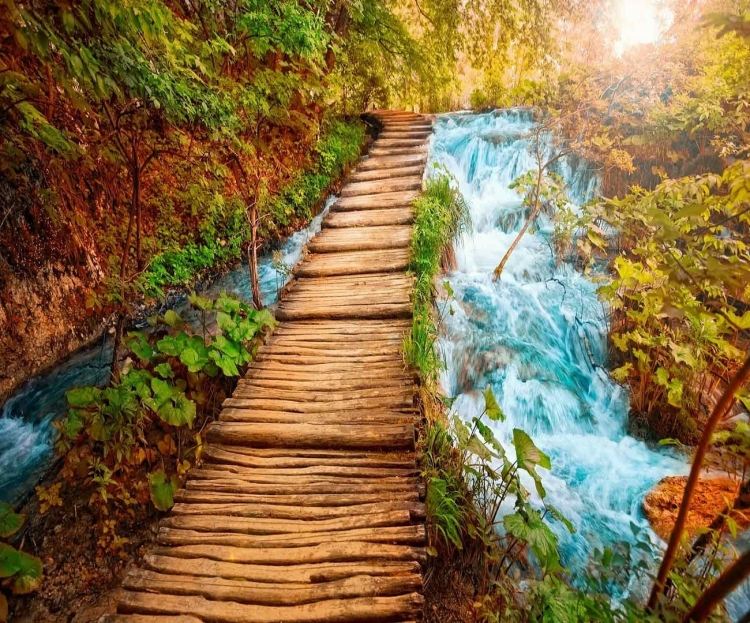 

Картина по номерам Raduga, Пейзажи: Деревянный мостик, 40х50см, RDG-2944