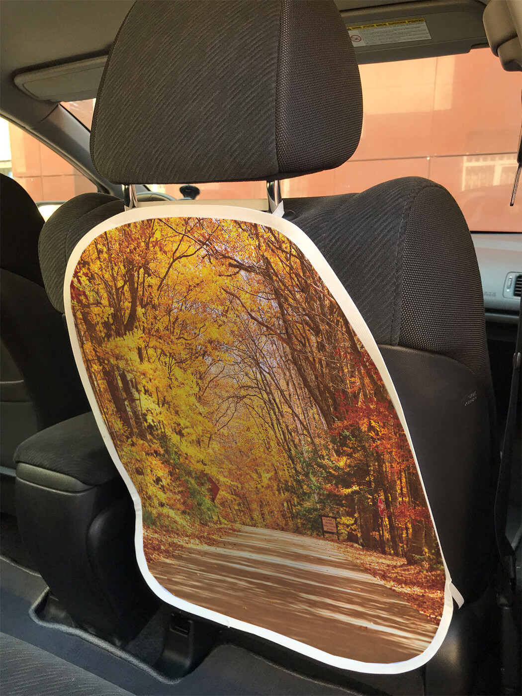 

Накидка на спинку сиденья JoyArty Путь свежего воздуха, 45х62, Путь свежего воздуха