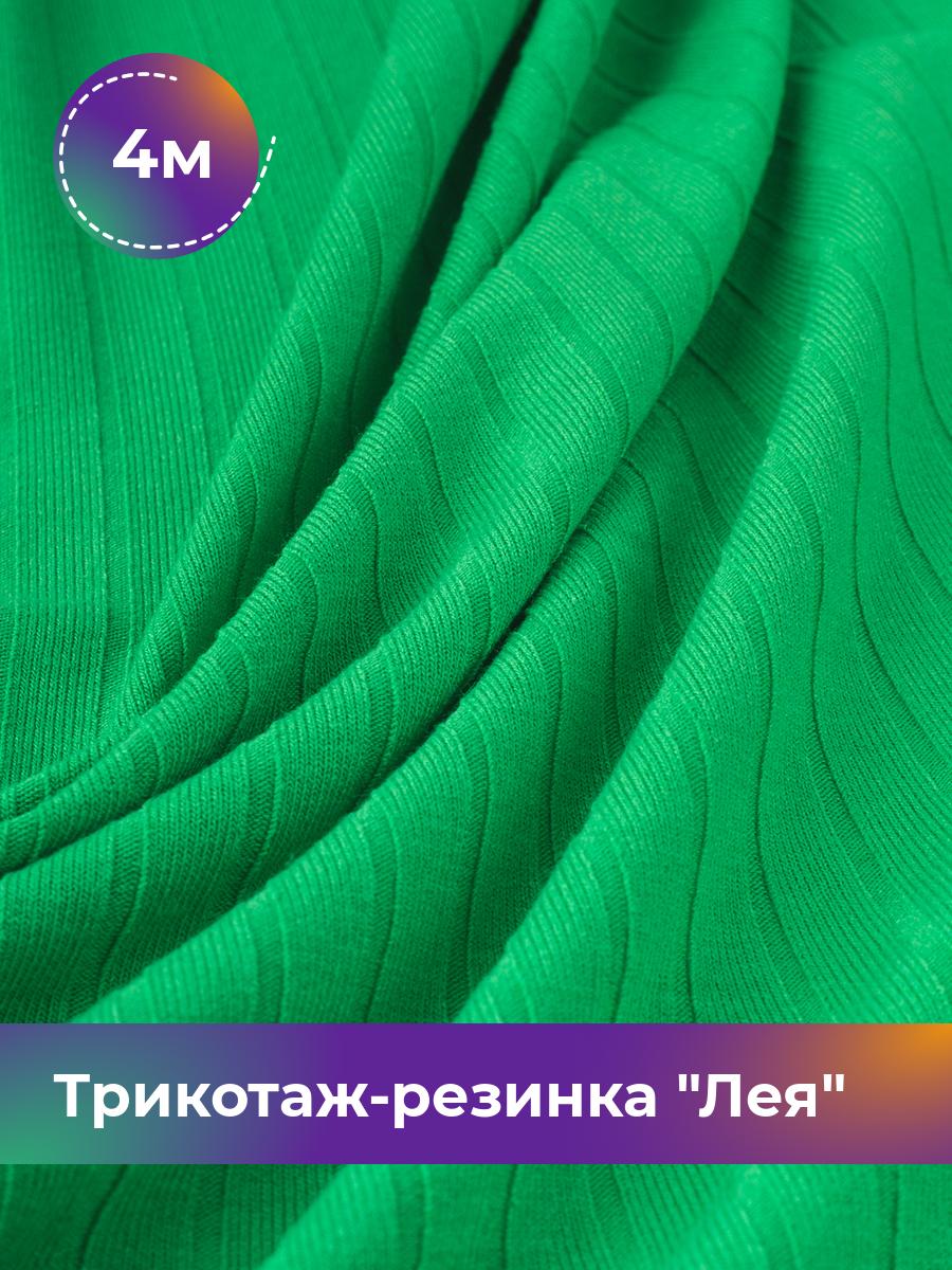 

Ткань Трикотаж-резинка Лея Shilla, отрез 4 м * 150 см зеленый 4_20740.013, 17744264