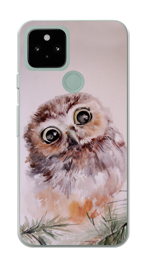 

Чехол Awog на Google Pixel 5 "Сова на розовом", Разноцветный, 270750-1