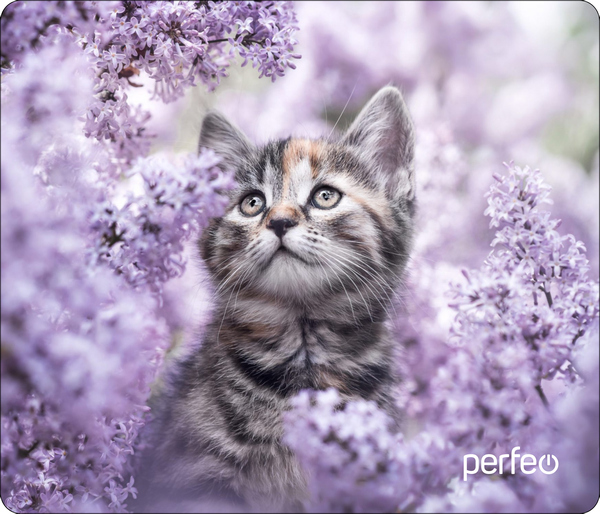 

Коврик для мыши Perfeo Pf_d0652, Разноцветный, Pf_d0652