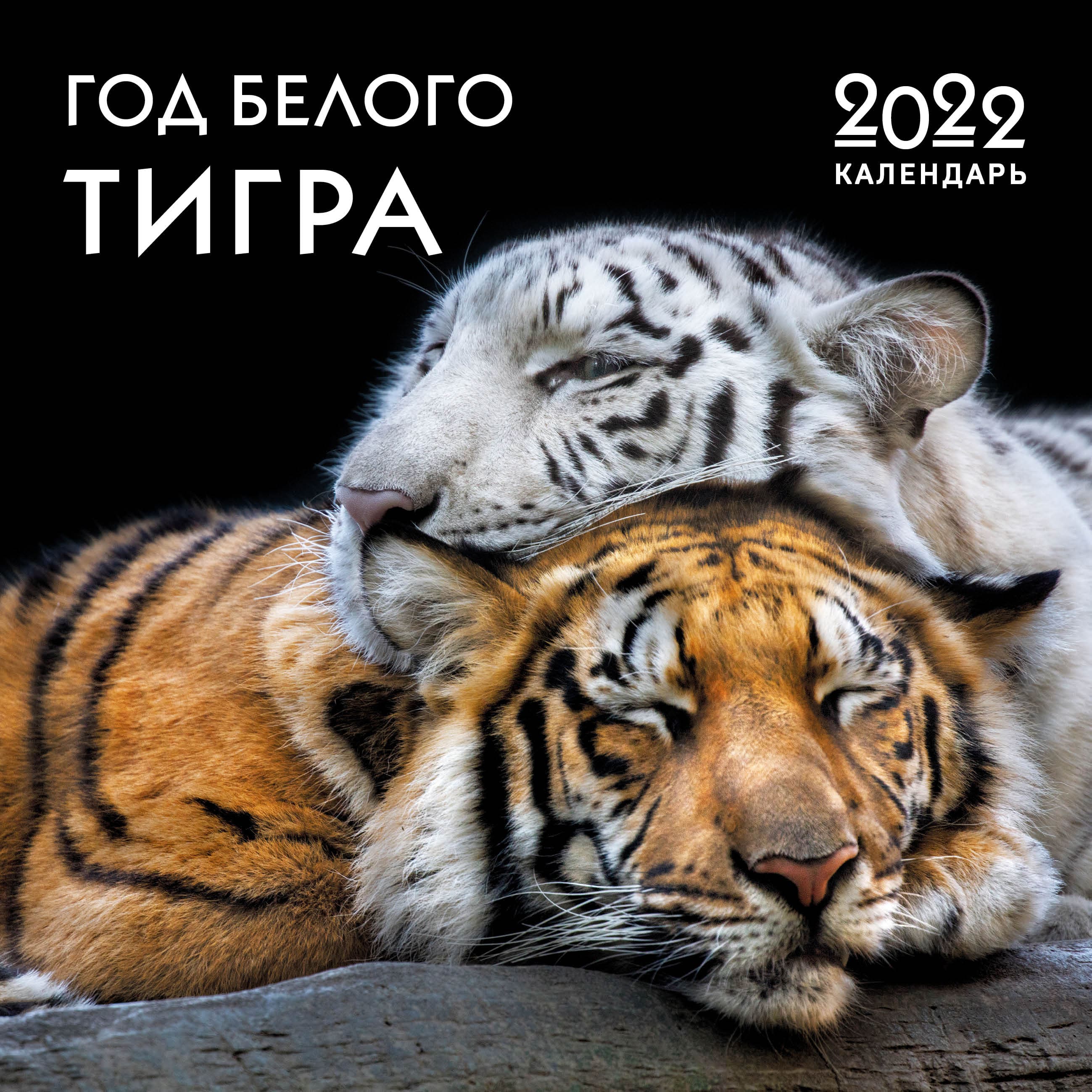 

Календарь Эксмо Год белого тигра настенный перекидной на 2022 год 300 х 300 мм