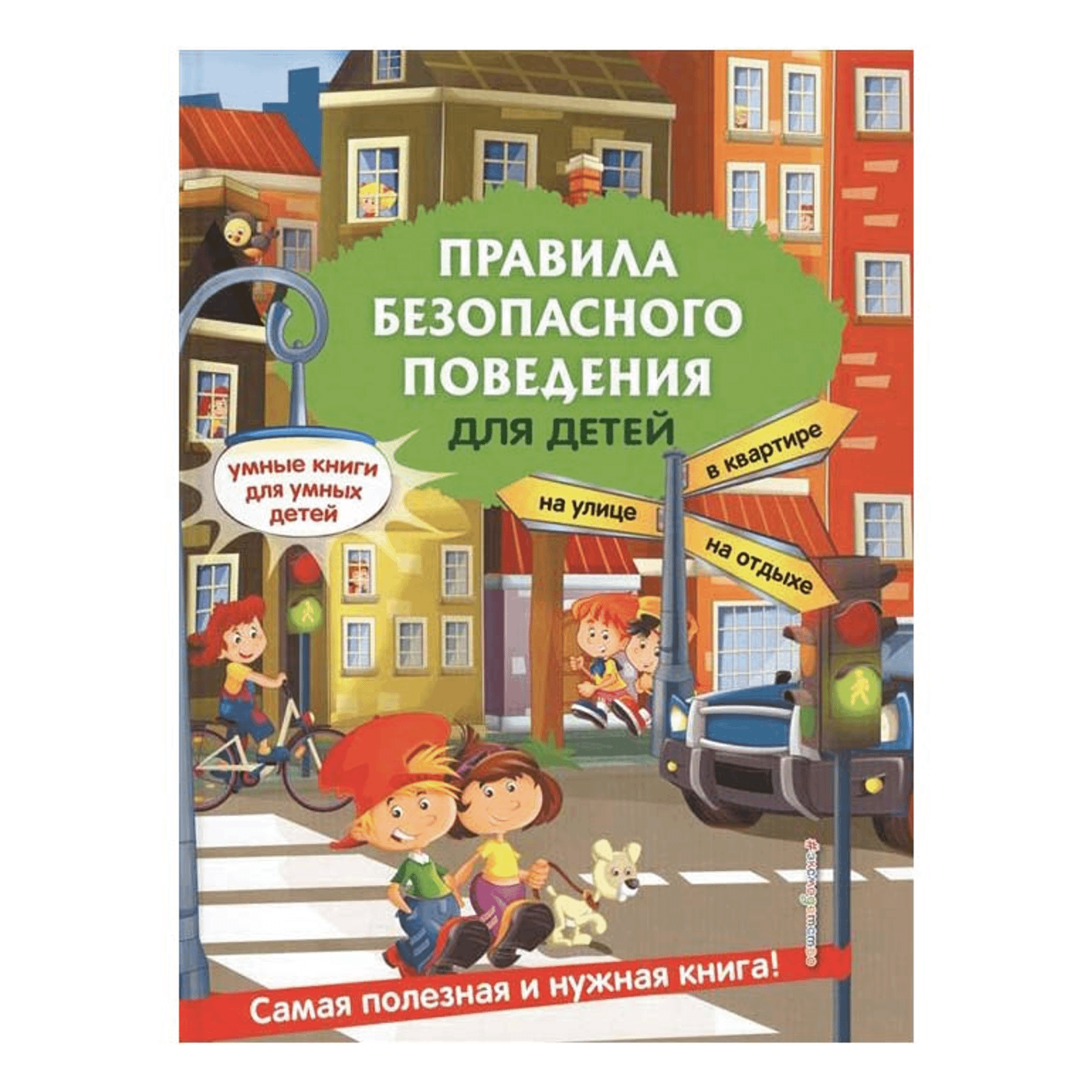 

Книга Правила безопасного поведения для детей Василюк Ю. С.