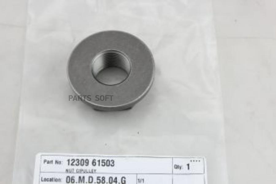 

NISSAN Гайка коленвала 12309-61503 (12309-Q4000)