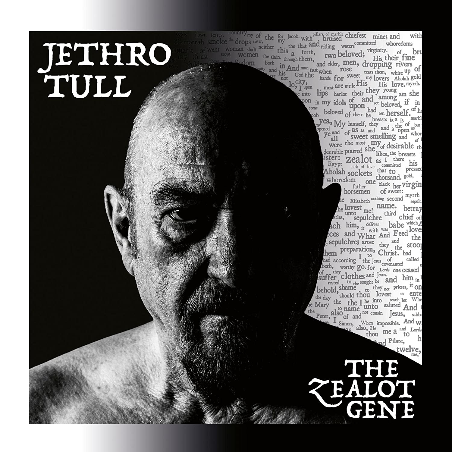 фото Jethro tull the zealot gene (винил+cd) мистерия звука