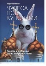 

Чудеса под куполами