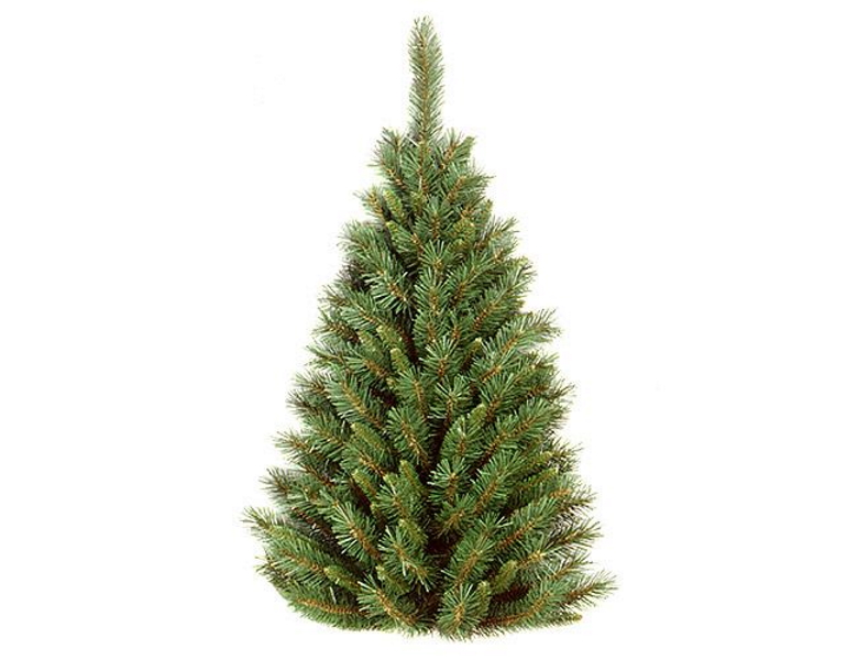 

Ель искусственная National Tree Company Настенная тиффани 31TF28HT/TF-28HT 71 см зеленая, Настенная тиффани