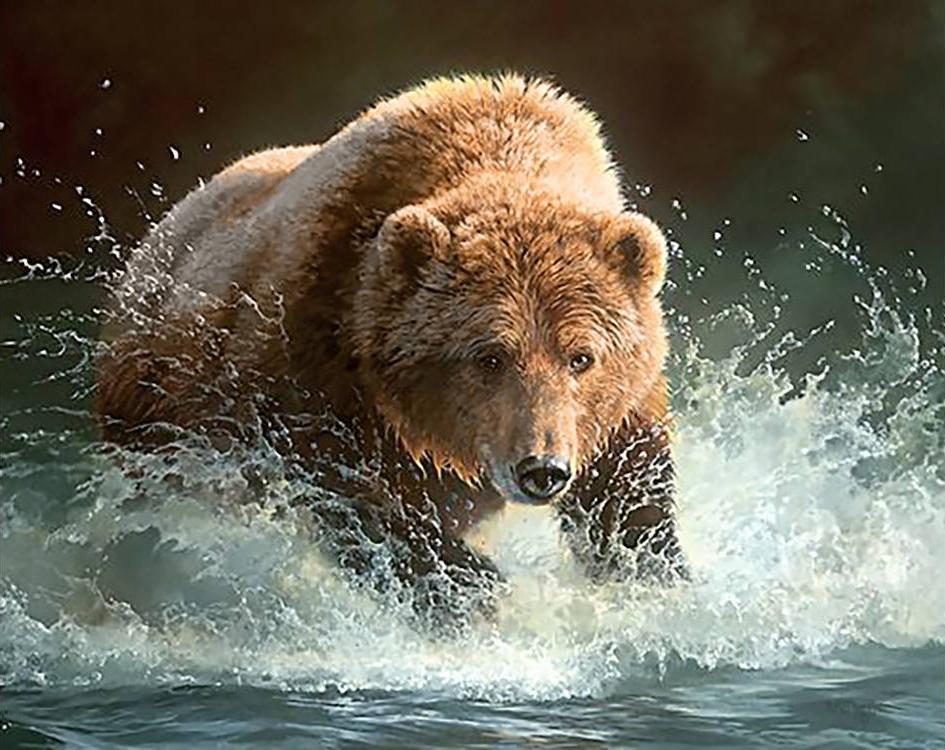 

Алмазная вышивка Гранни Медведь на рыбалке, 38x48 см, Медведь на рыбалке