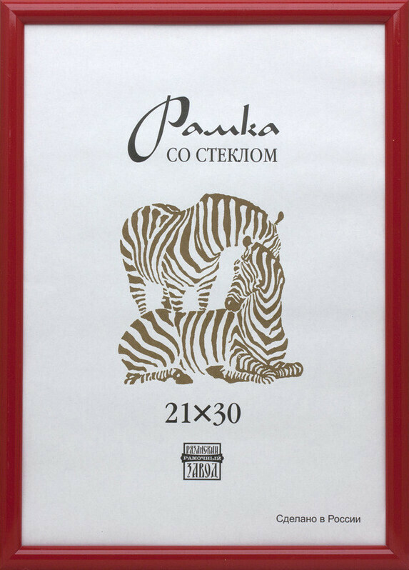 

Рамка пластиковая Зебра А4, 514 (красная)