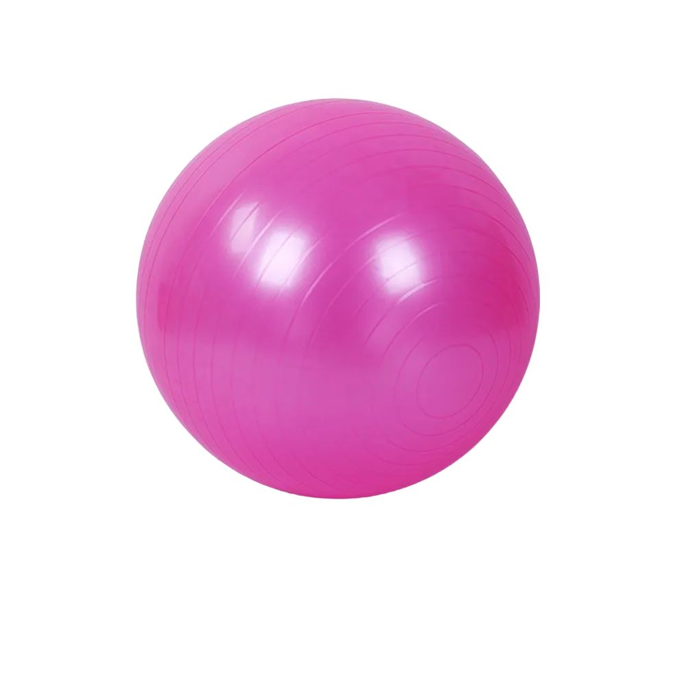 Anti Burst Gym Ball 65 см