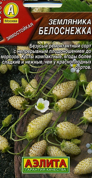 

Семена ягод Аэлита Земляника ремонтантная Белоснежка