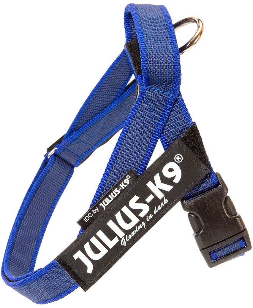 Шлейка для собак Julius-K9 IDC®-Belt harness Color & Gray 1,  синий, 61-80см / 23-30кг