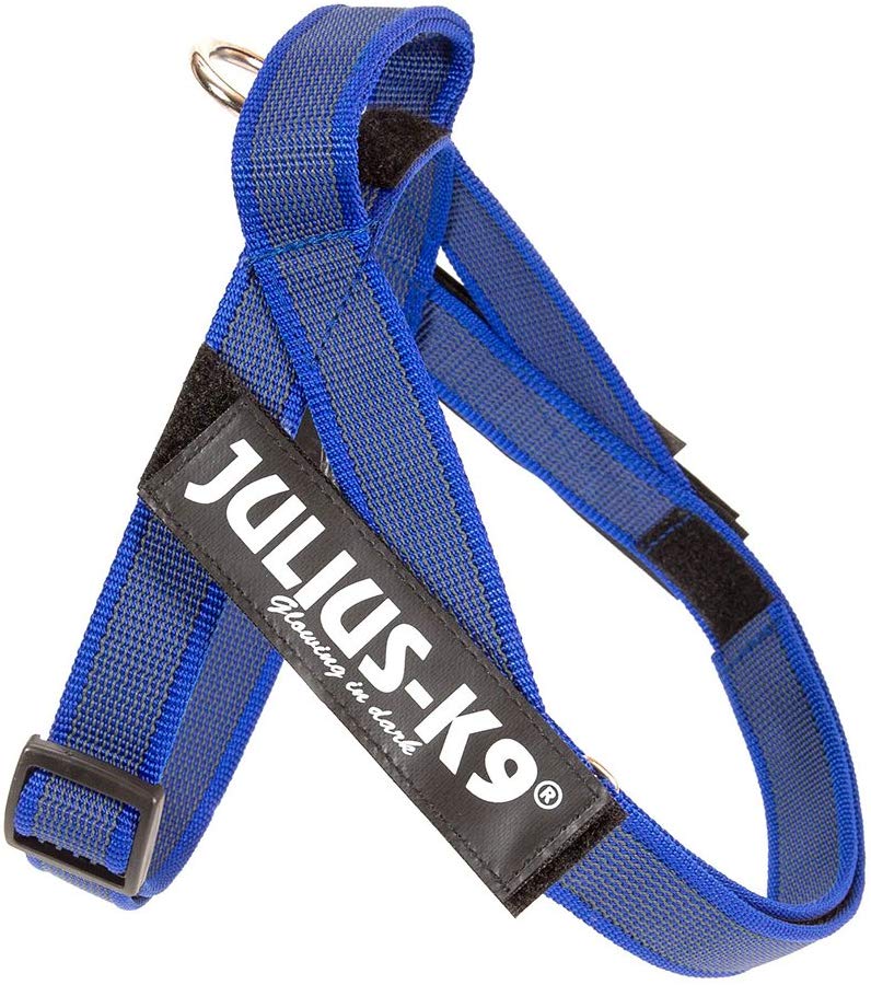 Шлейка для собак Julius-K9 IDC®-Belt harness Color & Gray Mini-Mini, синий, 40-49см/4-7кг