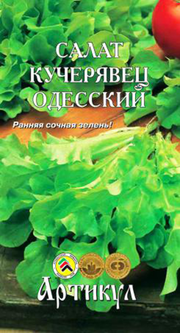 Салат одесский кучерявец описание и фото