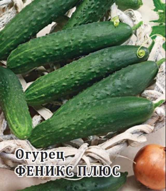 

Семена огурец Гавриш Феникс плюс 1999944092 1 уп.