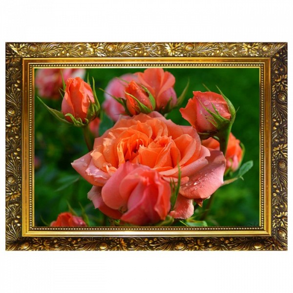 

Алмазная мозаика "Королева сада" 29,5x20,5см, 25 цветов NR- 58 MILATO
