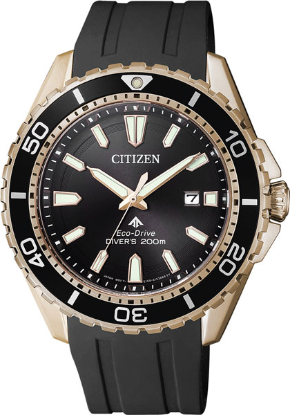 фото Наручные часы кварцевые мужские citizen bn0193