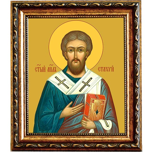 

Стахий Святой апостол, епископ Византийский. Икона на холсте.