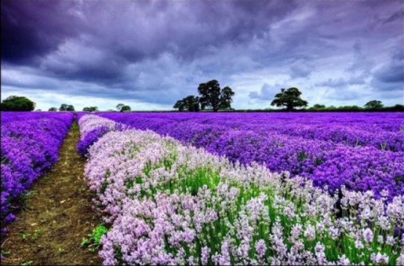 

Алмазная мозаика 40x50 на холсте с подрамником BoomBoomShop Грозовые тучи HWA4064, Грозовые тучи