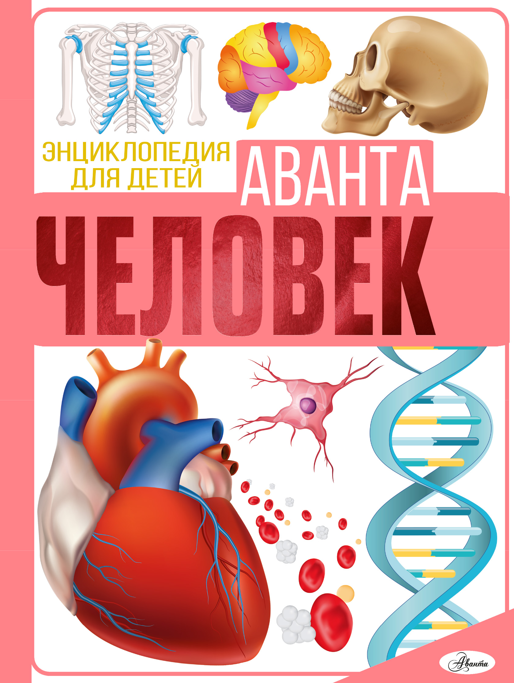 

Человек