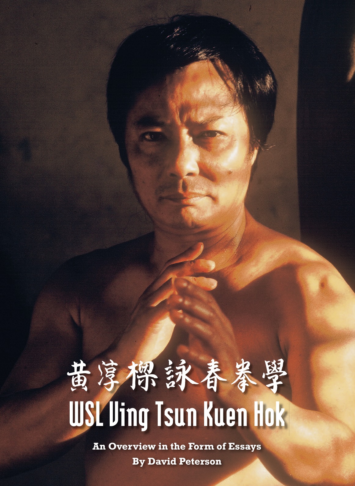 

WSL Ving Tsun Kuen Hok