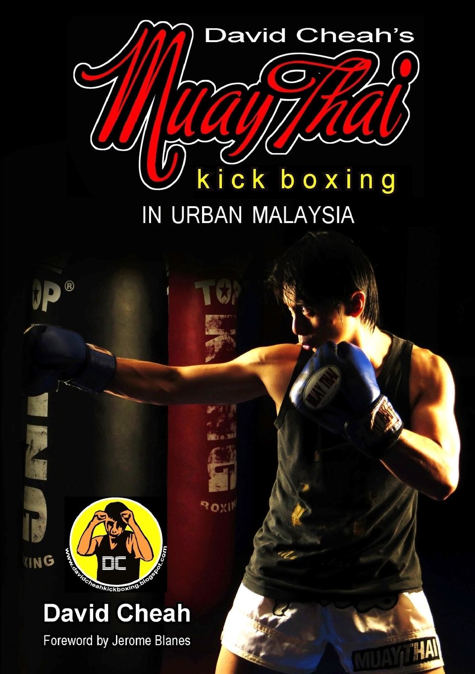 

David Cheah's Muay Thai Kick Boxing