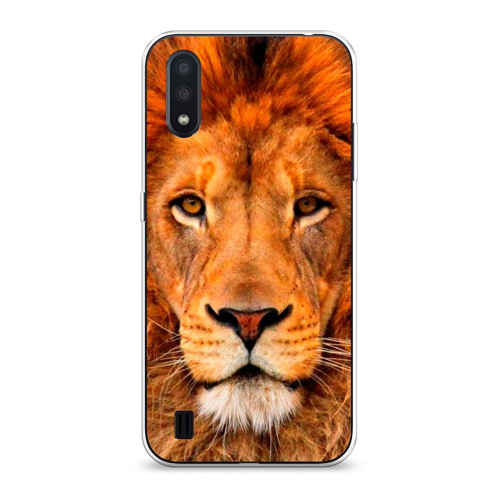 

Чехол на Samsung Galaxy A01 "Благородный лев", Оранжевый, 29550-1