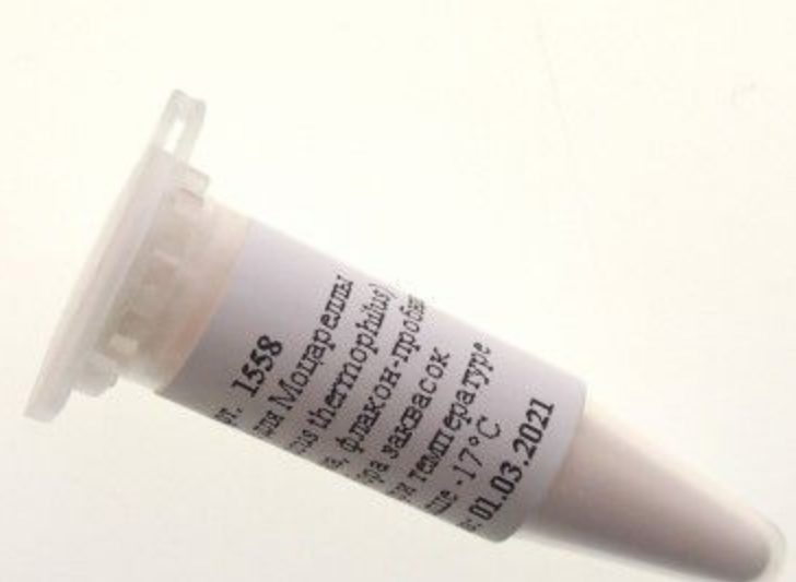 

Закваска Дека для Моцареллы Streptococcus thermophilus на 10 л молока, 4 г