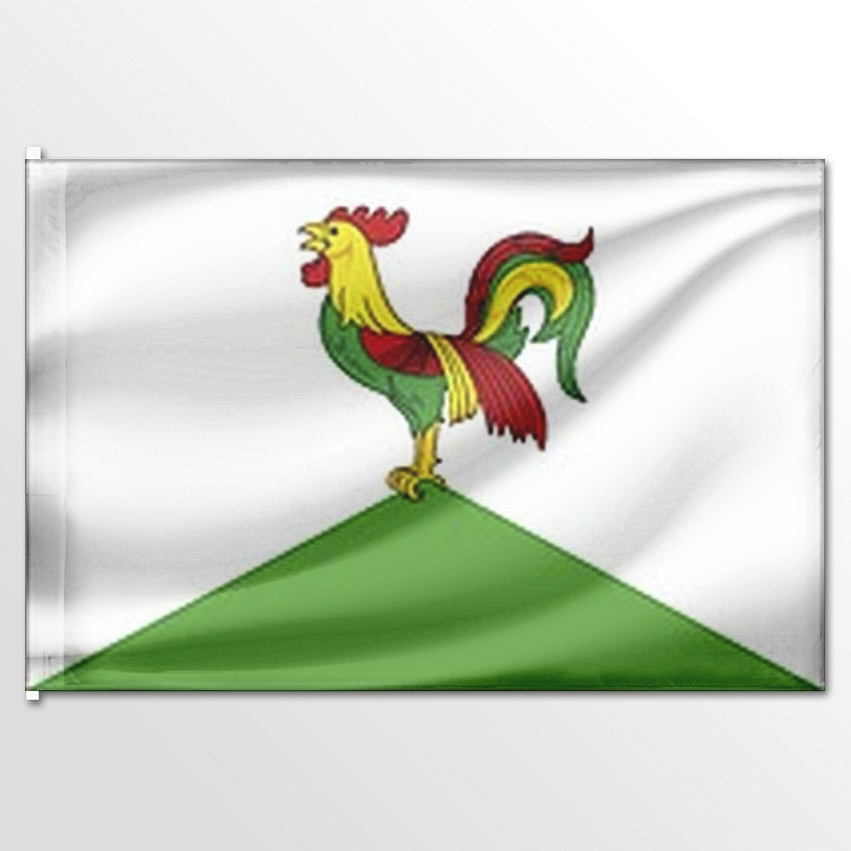 

Флаг ЦТП ФЕНИКС Кочетовского сельсовета 135x90 см, 7753-135x90