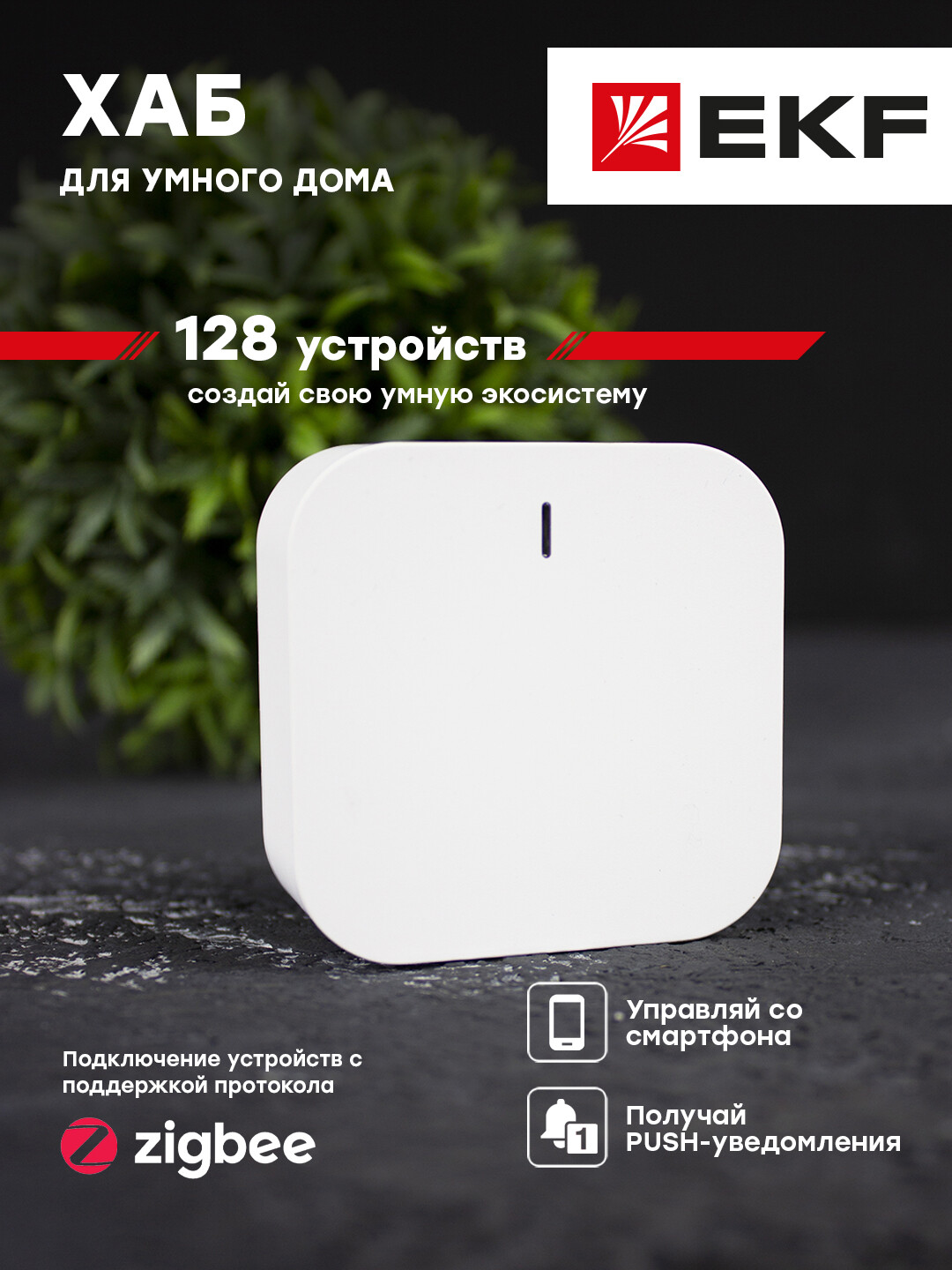 Умный хаб EKF Connect умный терморегулятор для радиатора zigbee алиса securic