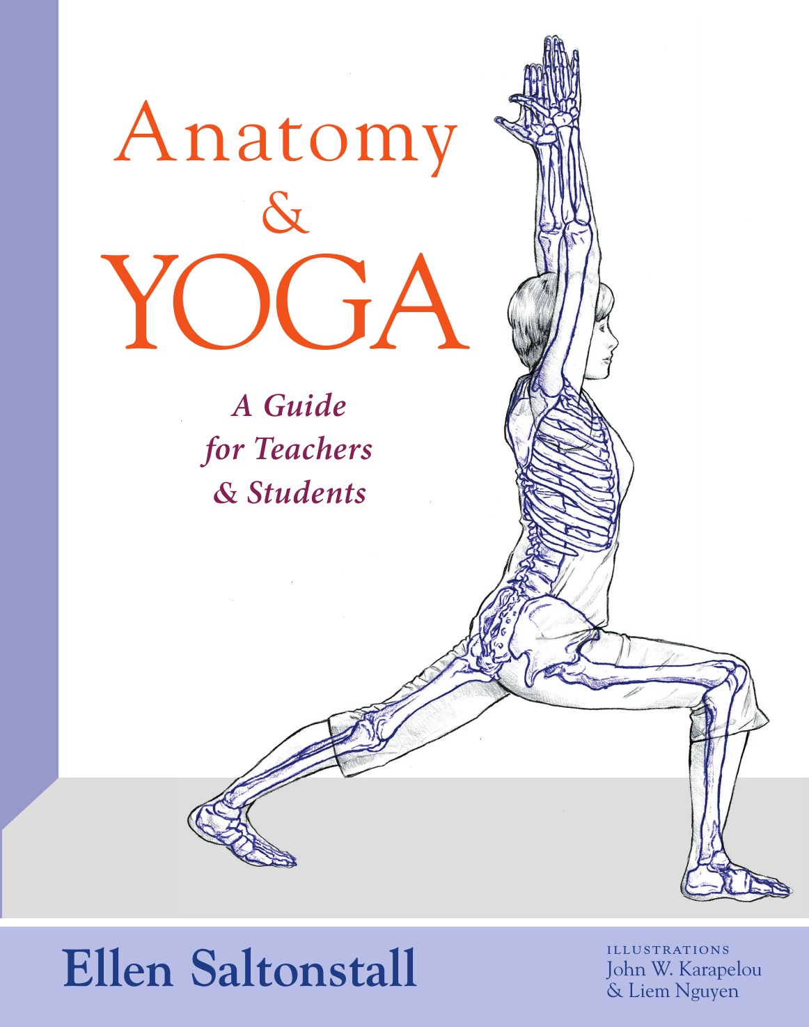 

Anatomy and Yoga