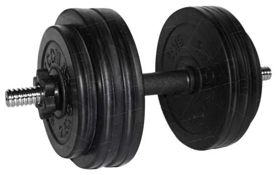 

Гантель разборная BARFITS Sportcom D26 26,5кг, Sportcom